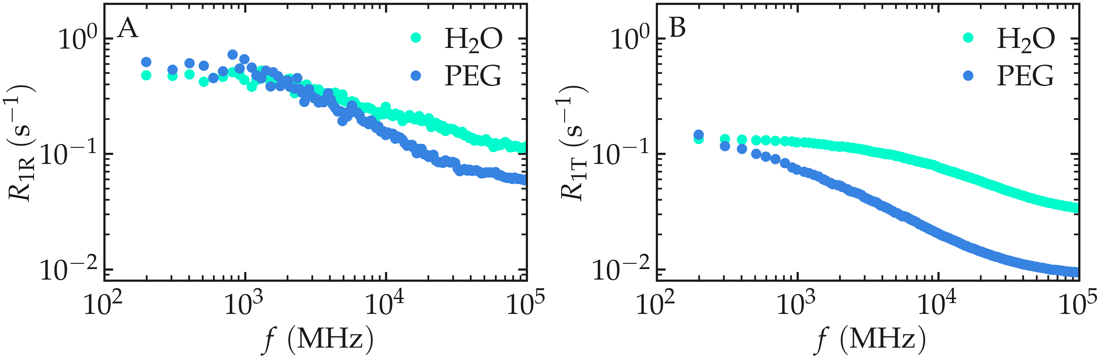 NMR results obtained from the LAMMPS simulation of water
