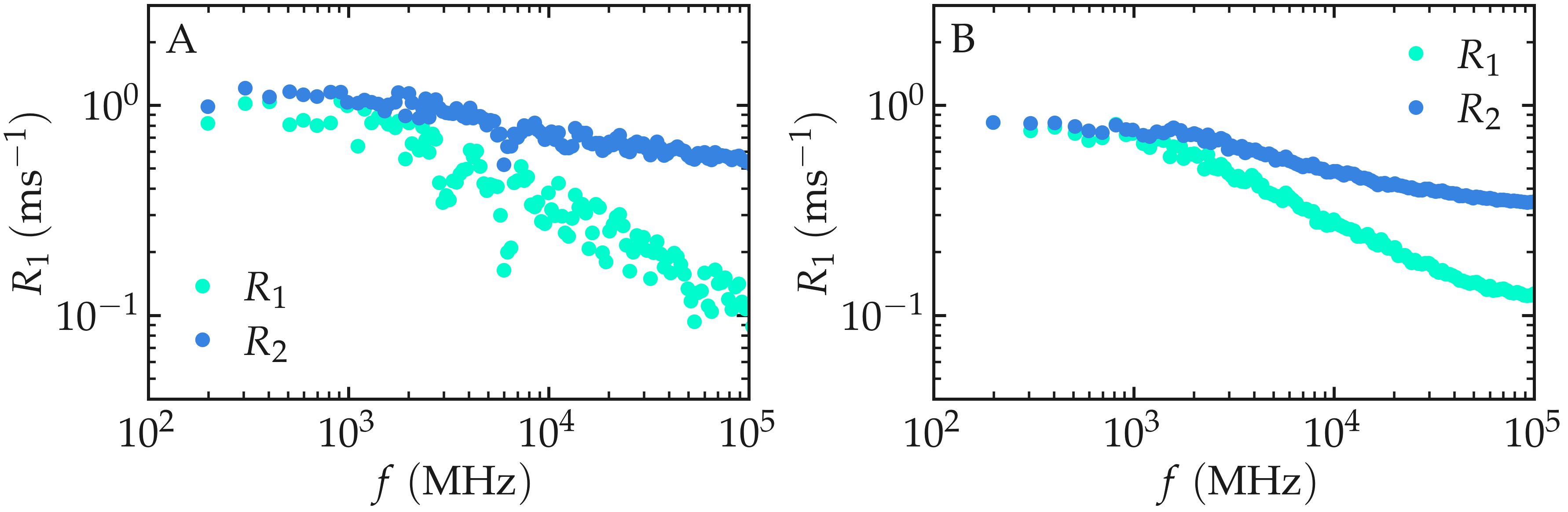 NMR results obtained from the LAMMPS simulation of water