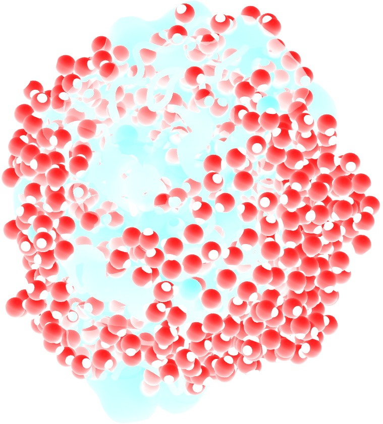 lysozyme in water simulated with GROMACS - Dipolar NMR relaxation time calculation